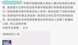 娱乐圈吃瓜完整版视频,吃瓜视频完整版深度解析